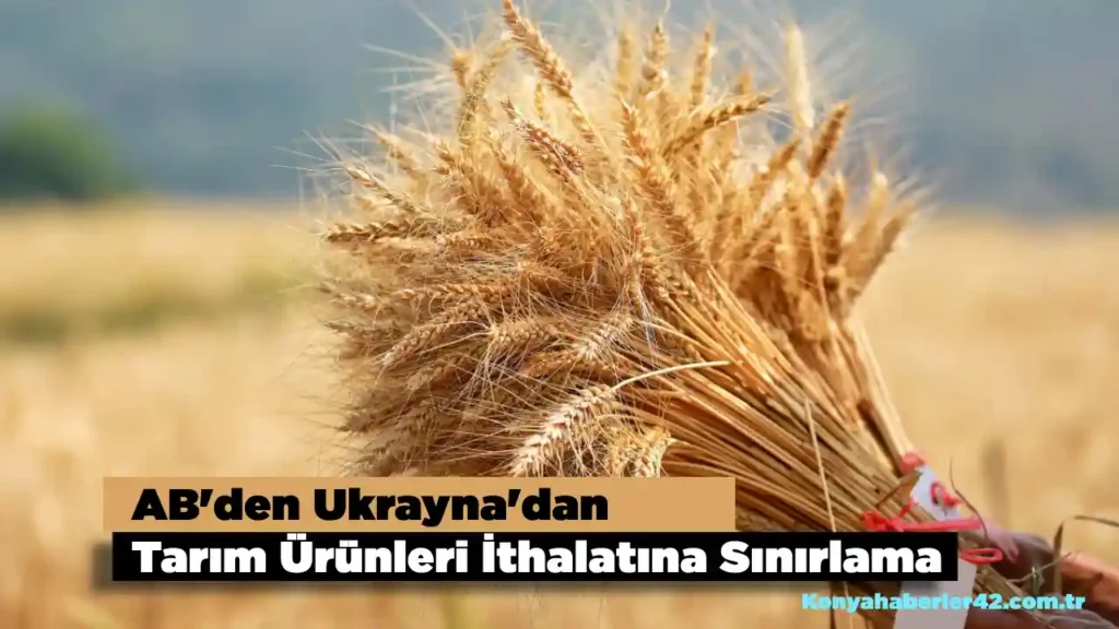 AB Ukranya Tarım